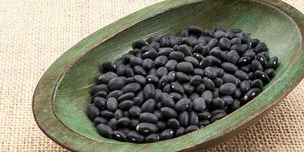 Kacang hitam vs. Kacang pinto