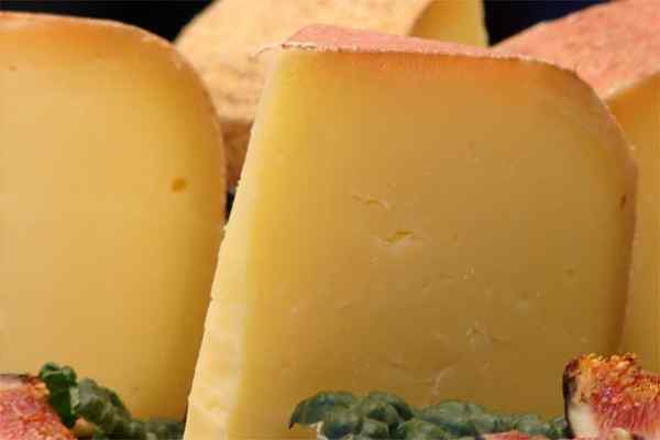 Cheddar Cheese vs. Parmezan