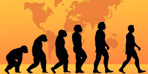 Kreacjonizm vs. Ewolucja