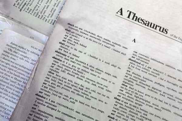 Wörterbuch vs. Thesaurus