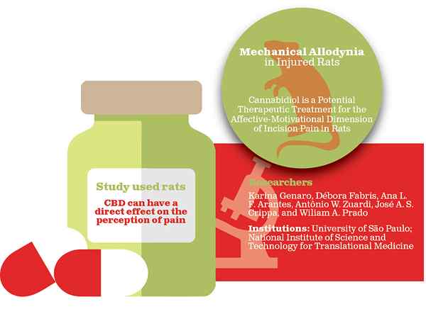 Perbezaan antara allodynia dan disestesia