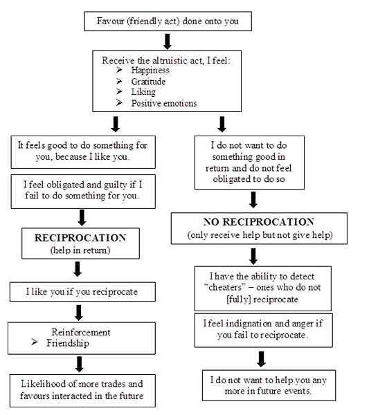 Diferencia entre el altruismo y el hedonismo