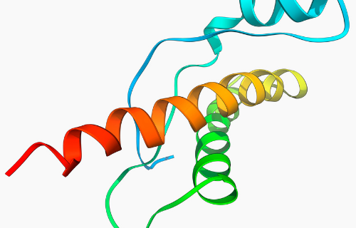 Unterschied zwischen Amyloid und Prion