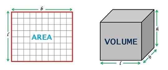 Perbedaan antara area dan volume