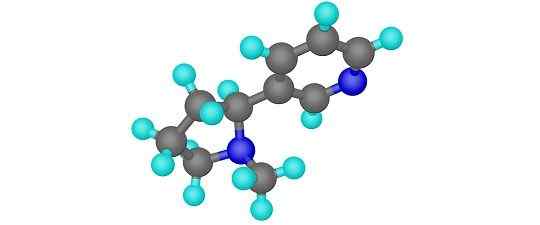 Unterschied zwischen Atom und Molekül