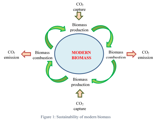 Perbedaan antara biofuel dan biomassa