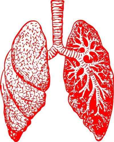 Diferencia entre la bronquitis y la tos ferina