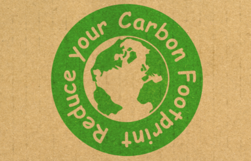 Diferencia entre la reducción de carbono y el compensación de carbono