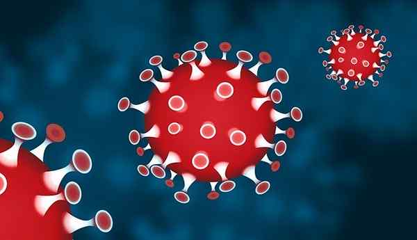 Diferencia entre el coronavirus y el rinovirus