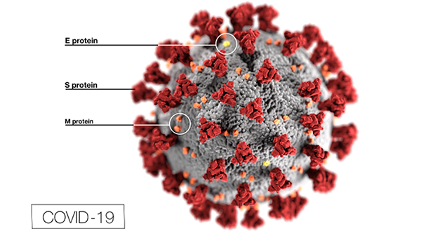 Diferencia entre el coronavirus y el RSV