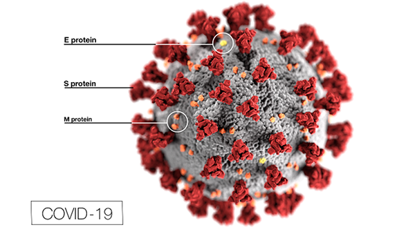 Perbezaan antara covid-19 dan coronavirus