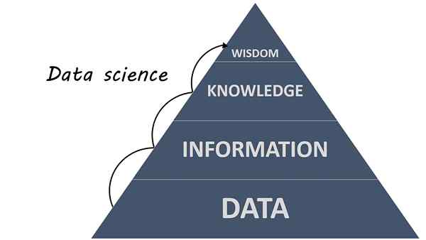 Différence entre l'exploration de données et la science des données