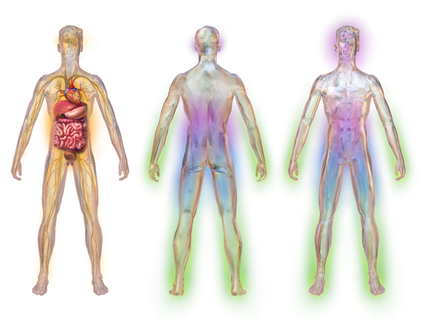 Différence entre la neuropathie diabétique et la neuropathie périphérique