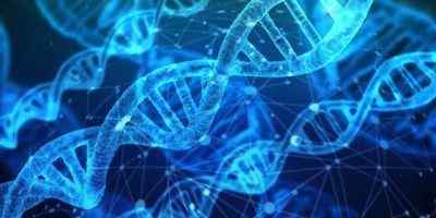 Perbezaan antara DNA dan RNA