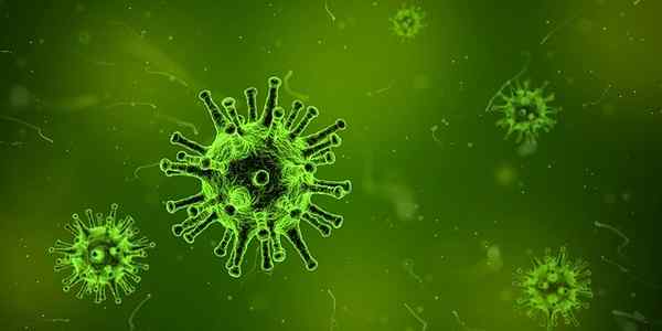 Diferencia entre epidemia y pandemia