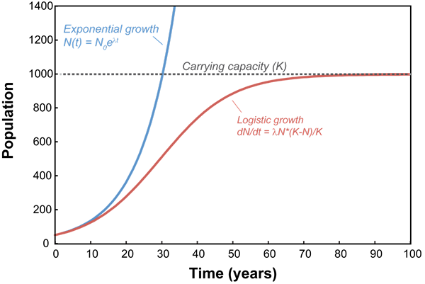 Diferencia entre el crecimiento exponencial y la descomposición exponencial