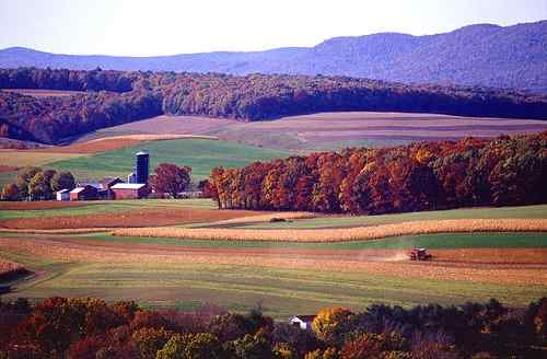 Différence entre la ferme et le ranch