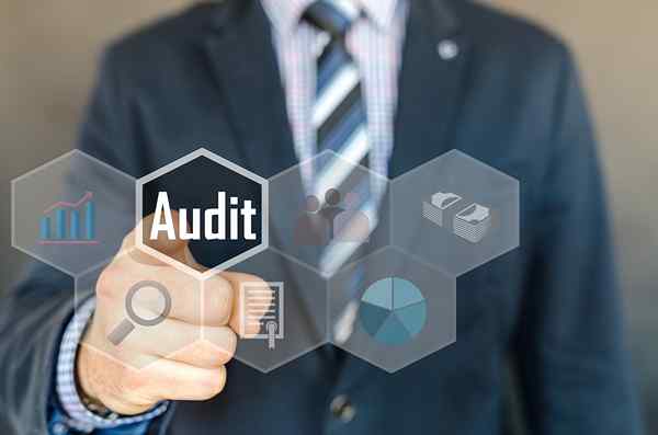 Unterschied zwischen Finanzprüfung und Management -Audit