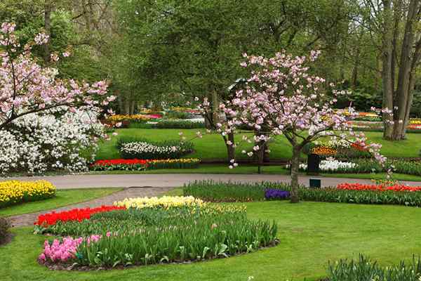 Diferencia entre jardín y parque