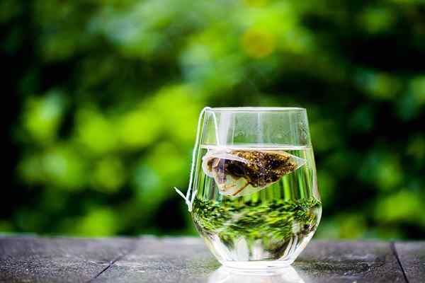 Différence entre le thé vert et le matcha