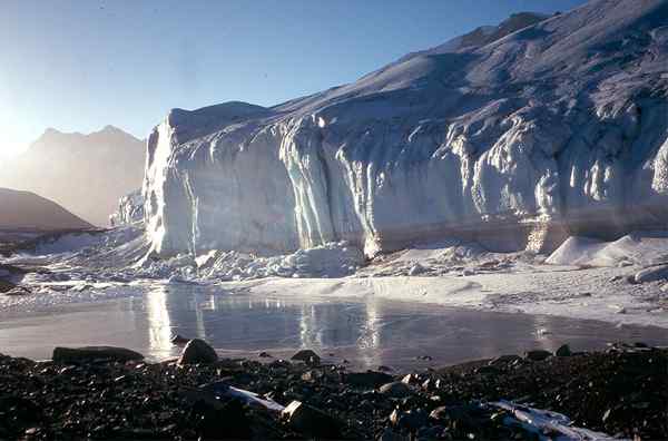 Diferencia entre los casquillos de hielo y los glaciares