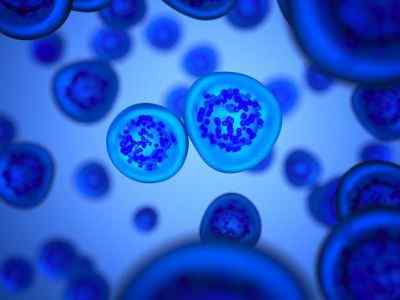 Różnica między płynem wewnątrzkomórkowym i zewnątrzkomórkowym