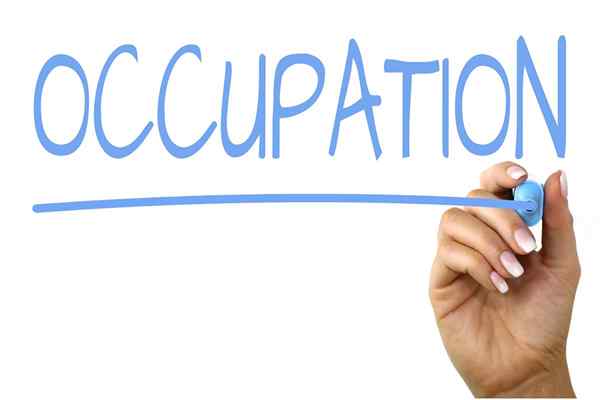 Diferencia entre el título del trabajo y la ocupación