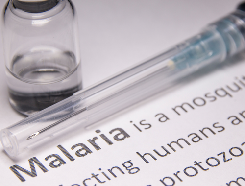 Unterschied zwischen Malaria und Sichelzellenanämie