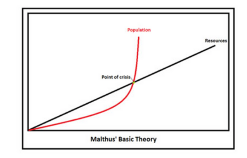 Diferencia entre Malthus y la teoría de Boserup