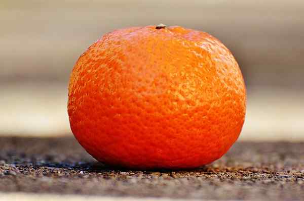 Unterschied zwischen Mandarin und Mandarine