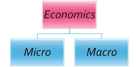Diferencia entre la economía micro y macro