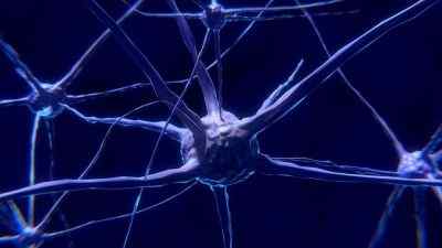 Diferencia entre neuronas y neuroglia