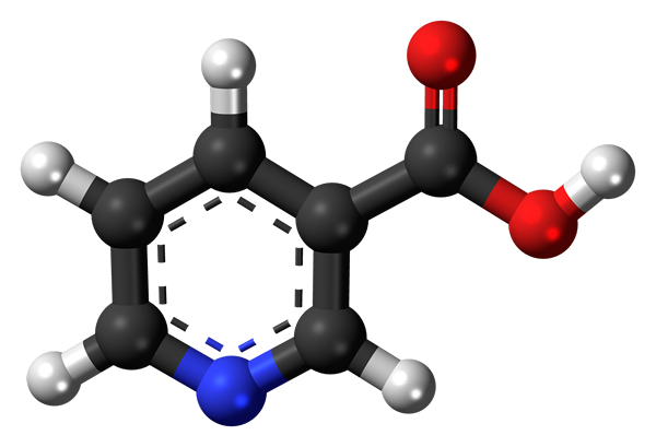 Différence entre la niacine et la niacinamide