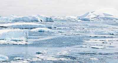 Différence entre le pôle Nord et le pôle Sud