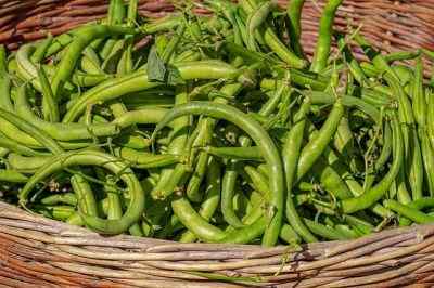 Diferencia entre los frijoles y los frijoles de los arbustos