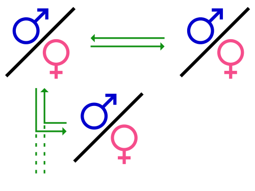 Différence entre la polygamie et la polygynie