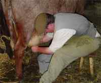 Diferencia entre la leche en polvo y la leche fresca