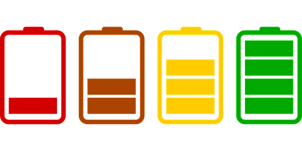 Différence entre la cellule primaire et la cellule secondaire