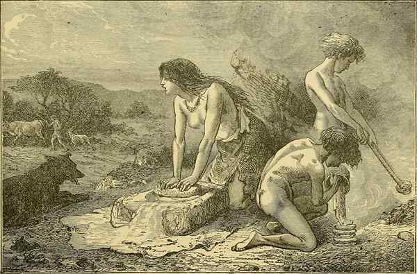 Différence entre la mythologie primitive et la mythologie classique