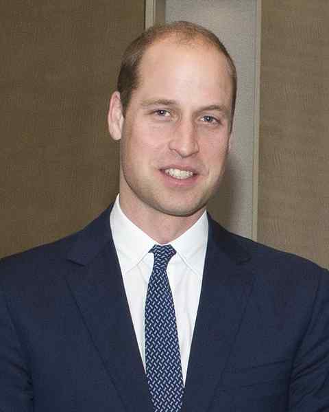 Perbedaan antara Pangeran William dan Pangeran Harry