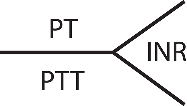 Perbezaan antara PTT dan APTT