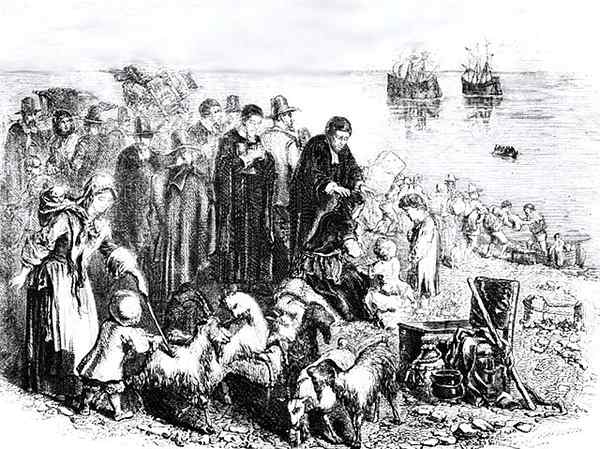 Perbedaan antara Puritan dan Quaker