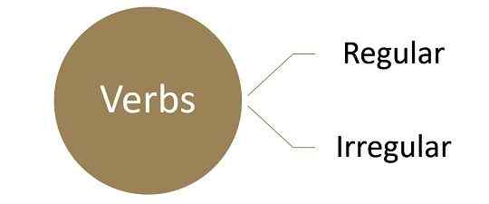 Diferencia entre verbos regulares e irregulares