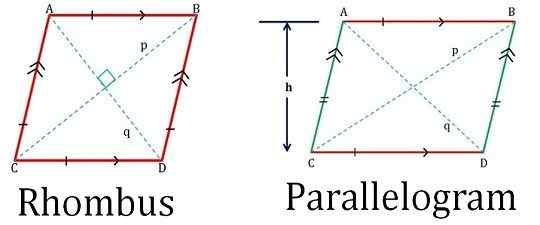 Perbezaan antara rhombus dan parallelogram