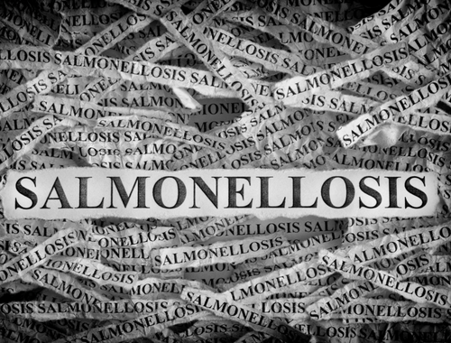 Perbezaan antara salmonellosis dan demam kepialu