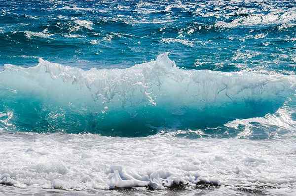 Perbezaan antara laut dan sungai