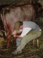 Diferencia entre la leche escabricada y la leche entera