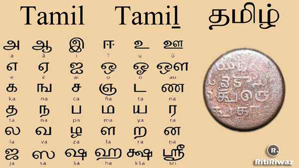 Diferencia entre tamil y sánscrito