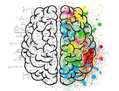 Diferencia entre el lado izquierdo y derecho del cerebro