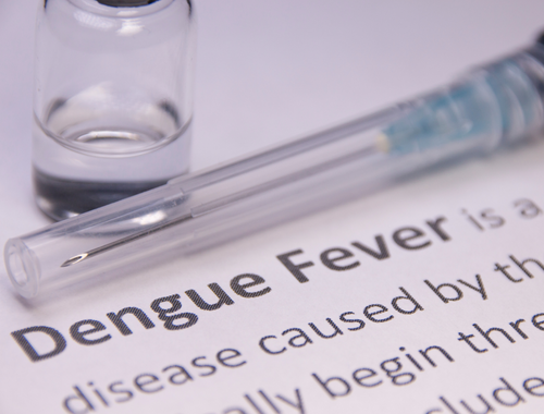 Unterschied zwischen Typhus und Dengue
